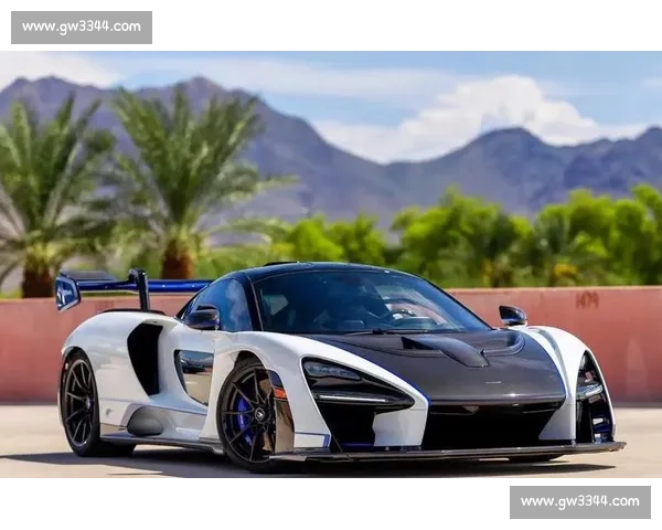 激燃赛车竞速盛典展现速度与激情魅力之夜狂飙荣耀时刻再续传奇梦